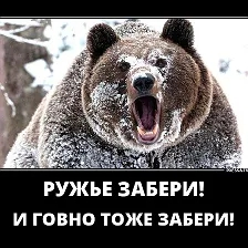 Как подготовиться к встрече с медведем