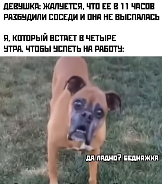 Весёлый полтишок 03.10