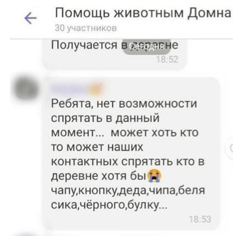 Стая бездомных собак напала на ребенка в центре Уфы