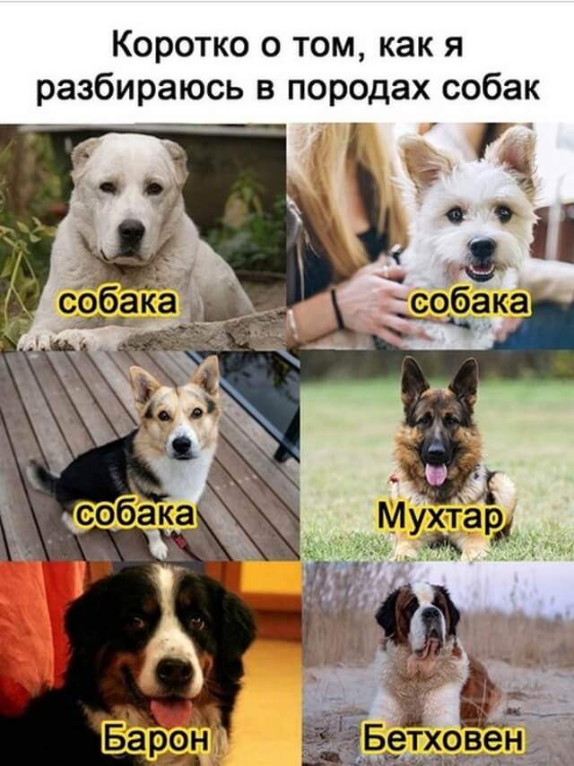 Так себе картинки 08.03.22