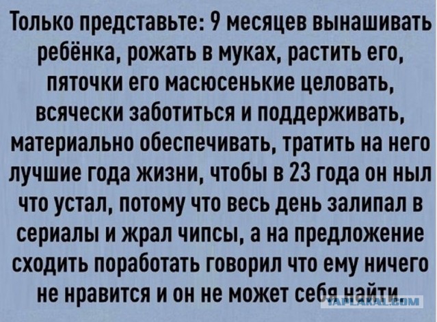 Воскресные картинки
