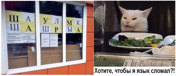 Забавные шутки, фразы, картинки из этих ваших интернетов