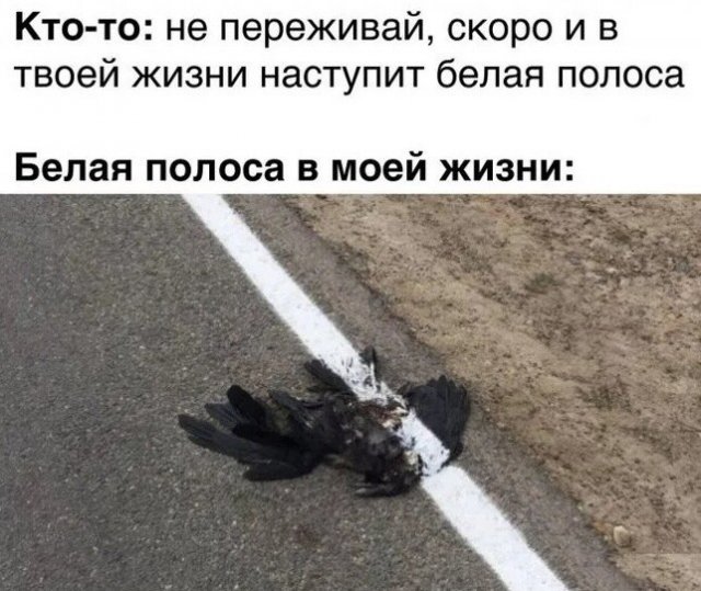Чёрная Пятница, для деградантов...