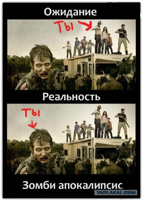 Ученые разработали технологию, способную реанимировать органы свиней спустя час после смерти