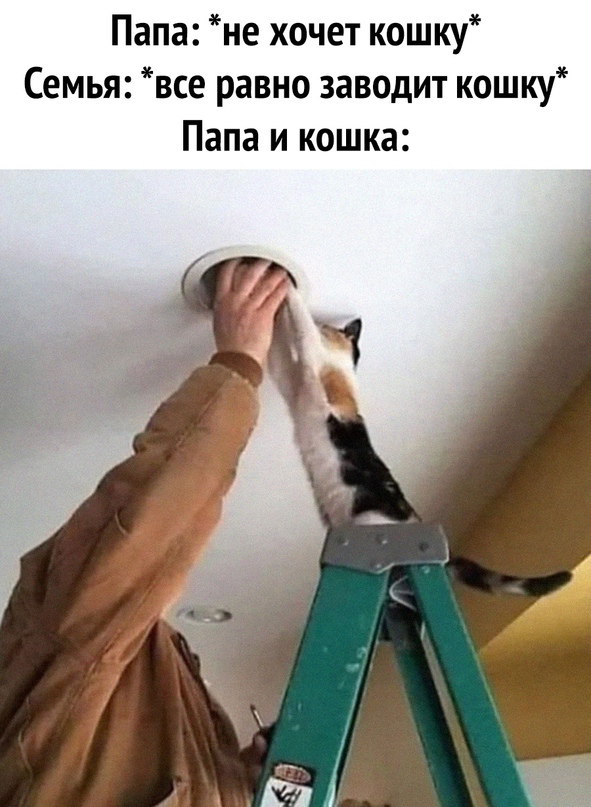Картинки и мемы. Выходные близко...
