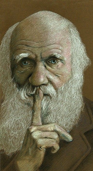 Скандал на кассе