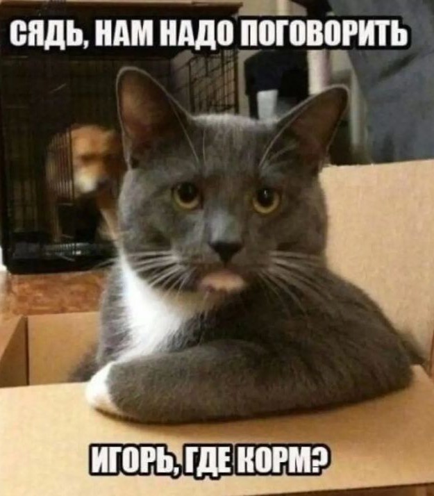 В ожидании деревенских