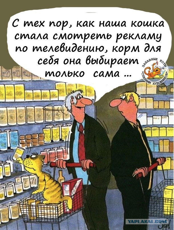 Как быть мужьям, чьи жены - "непьющие алкоголички"?⁠⁠