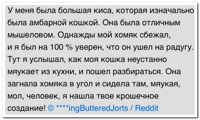 Забавные комментарии из социальных сетей (04.03.24)