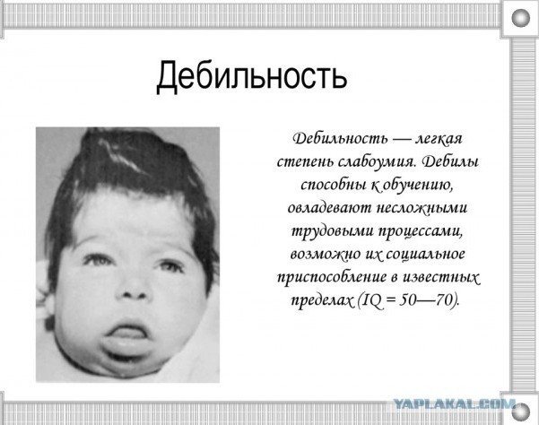 Удивительная история выживания в тайге, или Лесная эпопея студентки Натальи Косоруковой