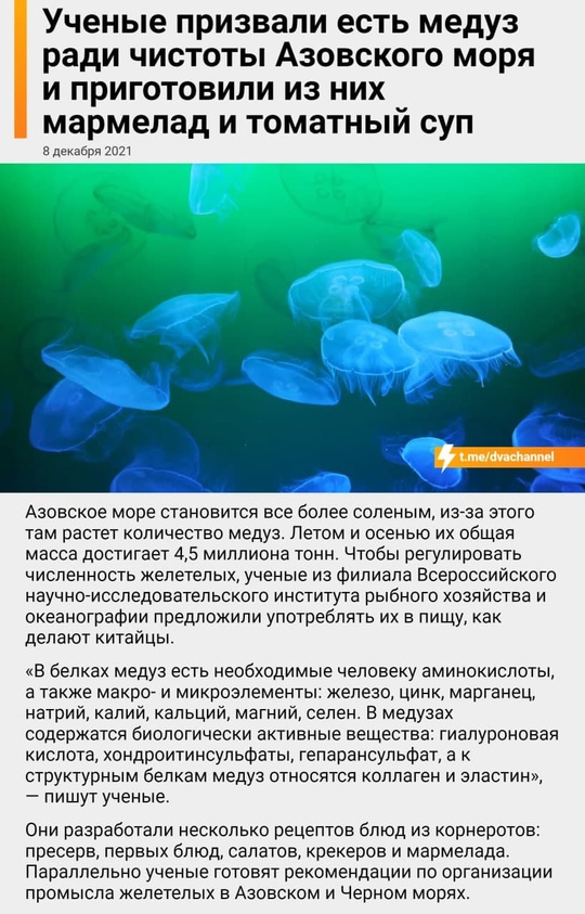 Нашествие медуз в Крыму