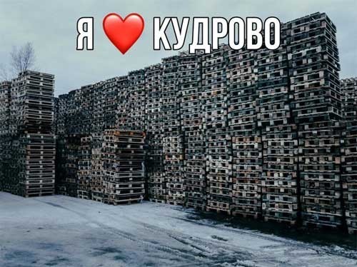 В Сети разместили фото с настоящего «человейника» в Кудрово