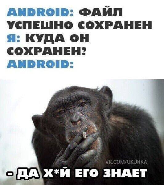 Куда копируется файл