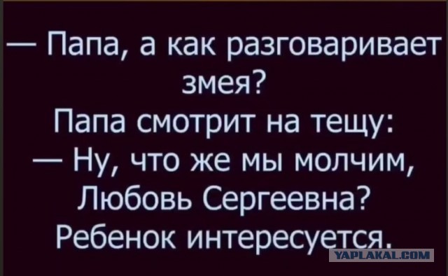 Завалялось тут случайно немного забавных картинок