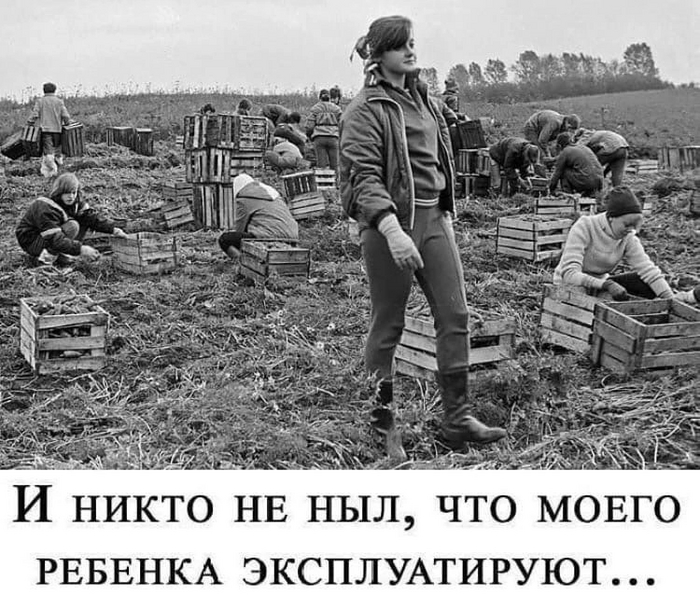 Почувствуйте разницу, как говорится. Кто успел попасть на такое трудовое мероприятие?