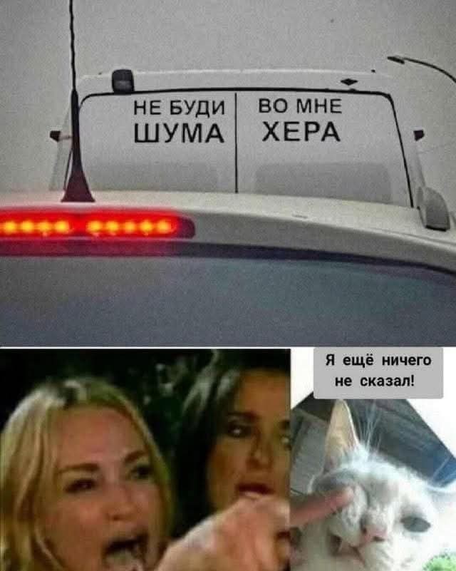 К котовторнику: подборка картинок-баянов с котиками и про котиков. Выпуск 5