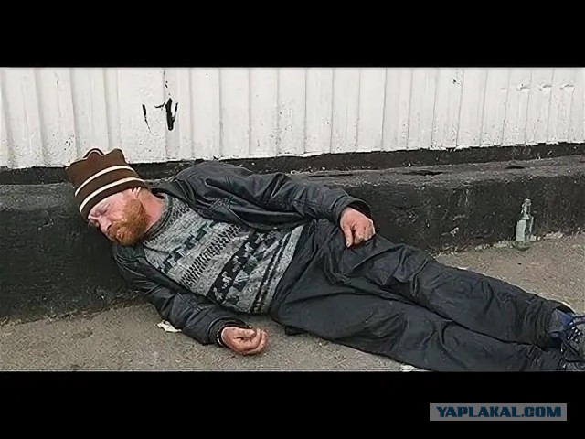 В догон про гигантских Жуков