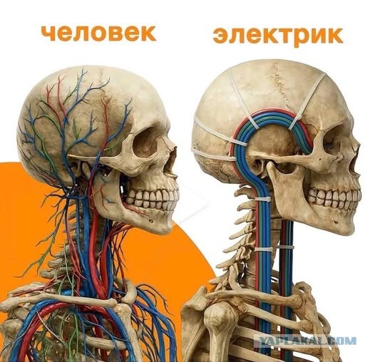 Картинки для деградации 108 (разной степени свежести)