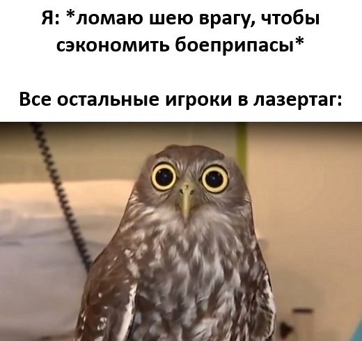 В Улан-Удэ пьяный мужчина отобрал пистолет у реконструкторов и сам бросился на «немцев»