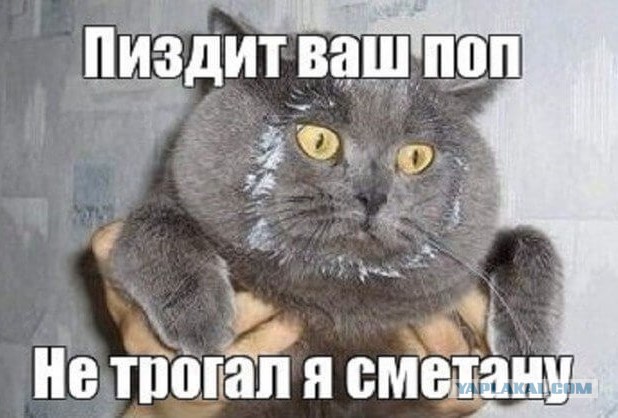 Ребят,объясните мне,человеку далёкому от деревни,что за фигня?