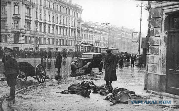 Финский военный фотоархив