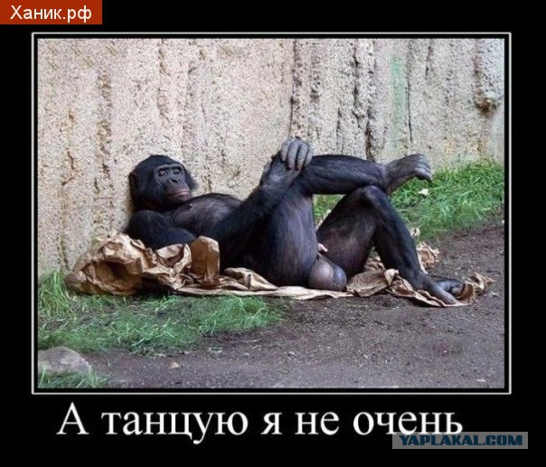 Докажи что не Кончита