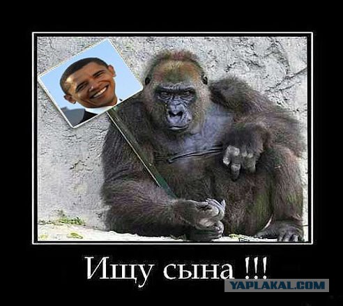 Встретились взглядами