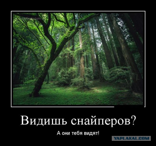 Веселые картинки.