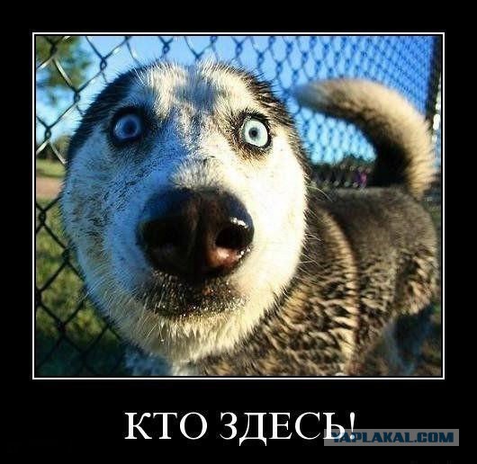 Когда вы минусити заминусованного 2.