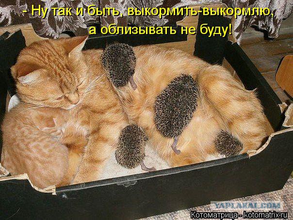 Чёрт, чёрт, чёрт!