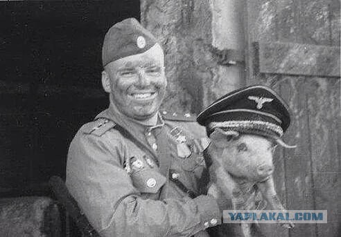 СМИ иллюстрируют победы