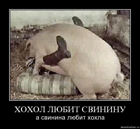 Стрелков на Антикваре... 29 минут назад