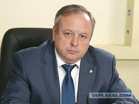Украинская зима в Московской области