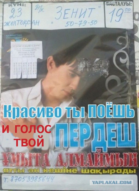 Кумир миллионов