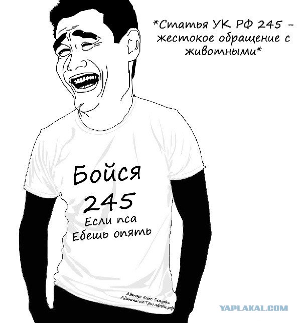 228 и дебильные понты