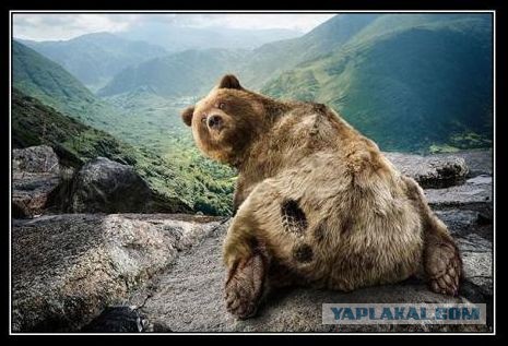 10 фотографий, сделанных "за секунду до..."