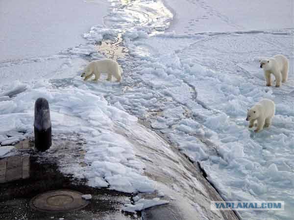 Все атомные подводные лодки ВМФ России. Фотообзор
