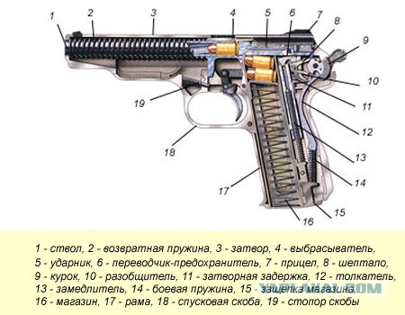 «Cтрелять не будет и не может»