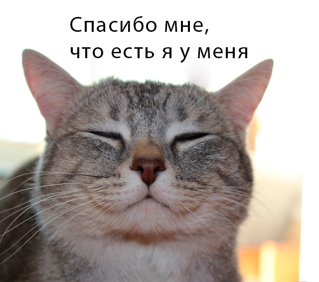 ФОТОЖАБА «Спасибо»