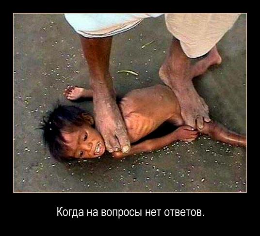 Кадры повседневной жизни в Индии