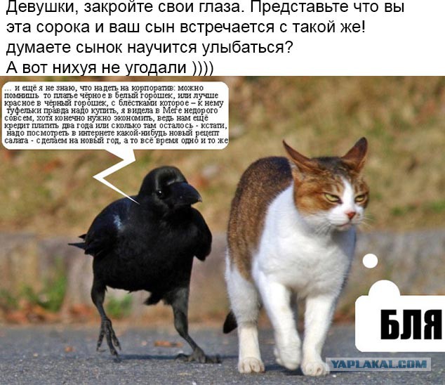Задумайтесь.