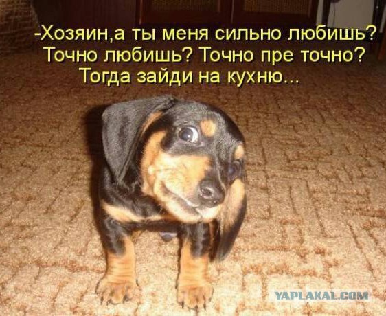 Просто картинки