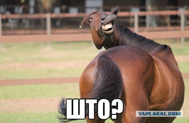 Татарский дрифт!