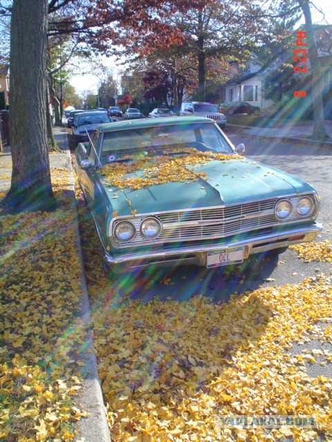 Как я побывал в США. Часть пятая. Заключительная