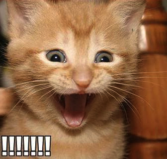 Спортивные кубики