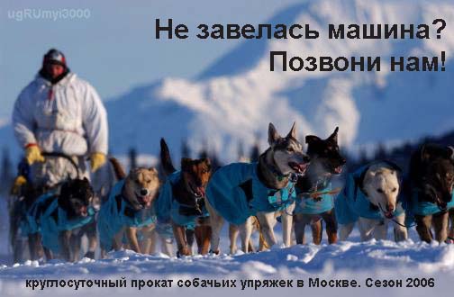 Зима пришла