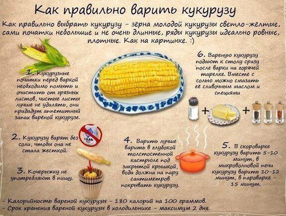 Подборка интересных и смешных картинок