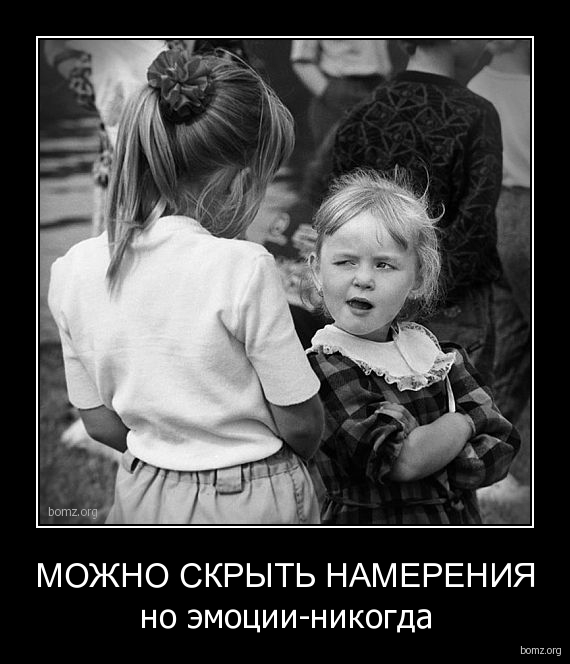 Картинки и приколы из сети, для поднятия настроения=)
