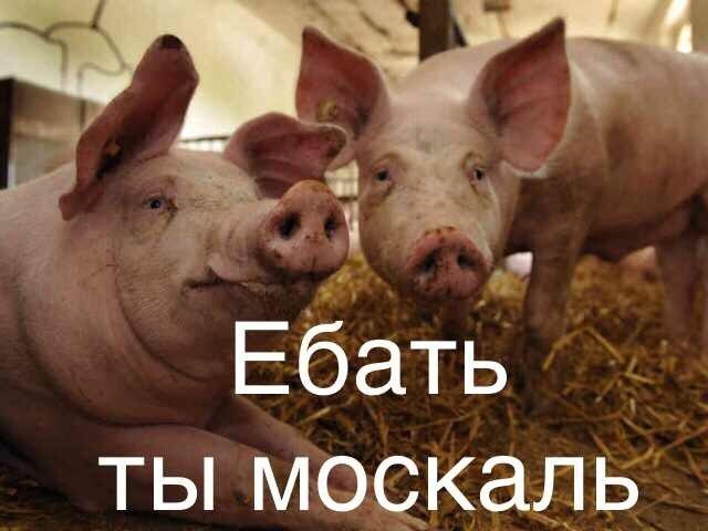 Хохлозрада - руссоперемога