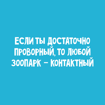 Абсурд зашкаливает